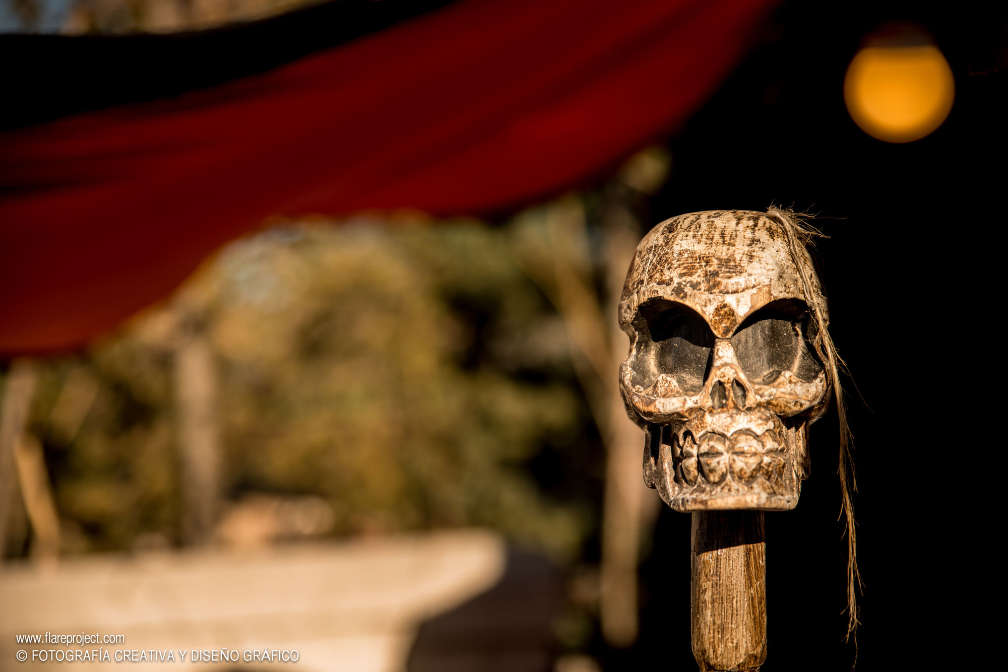 fotografos zaragoza_002