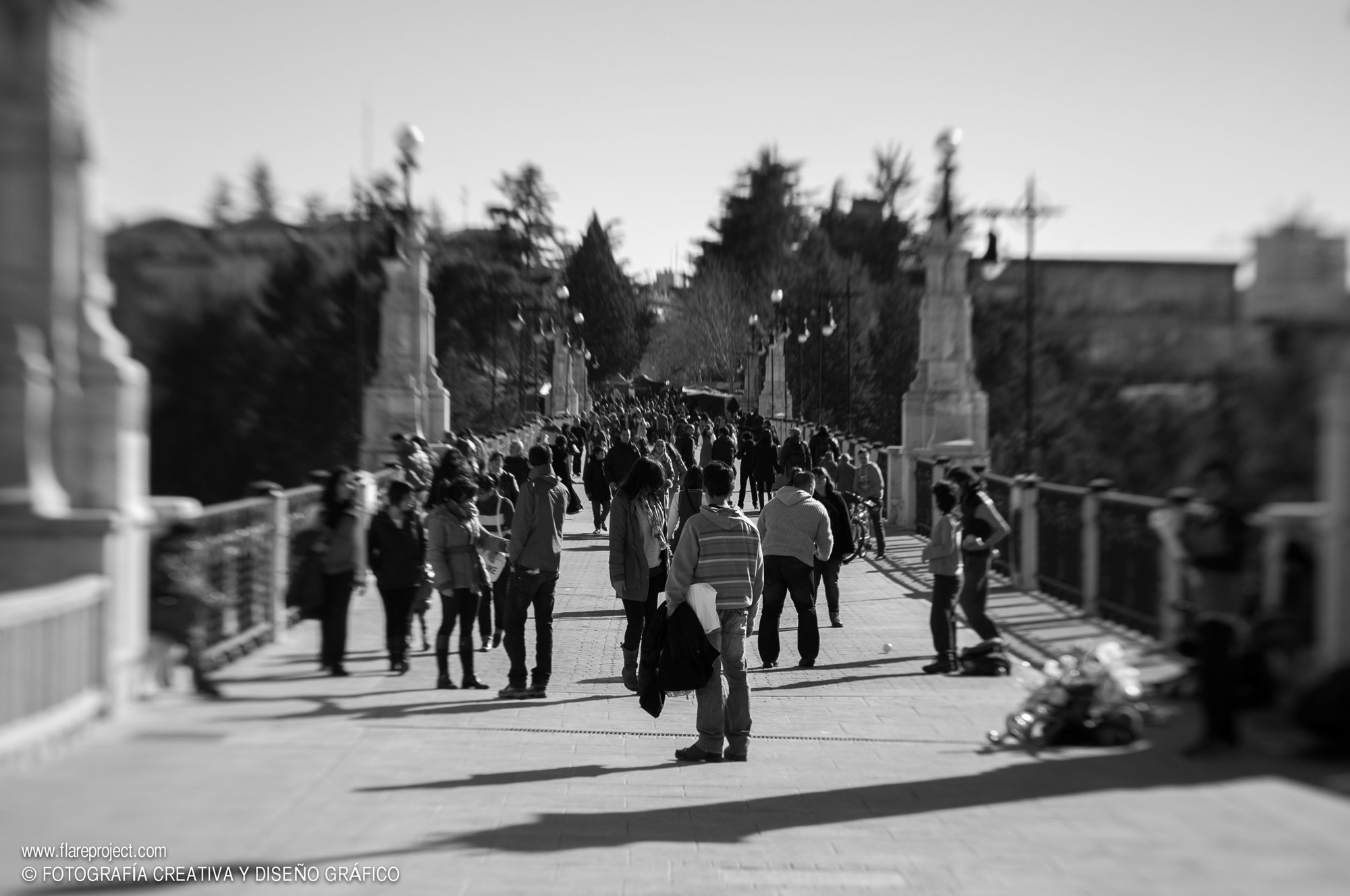 fotografos zaragoza_015