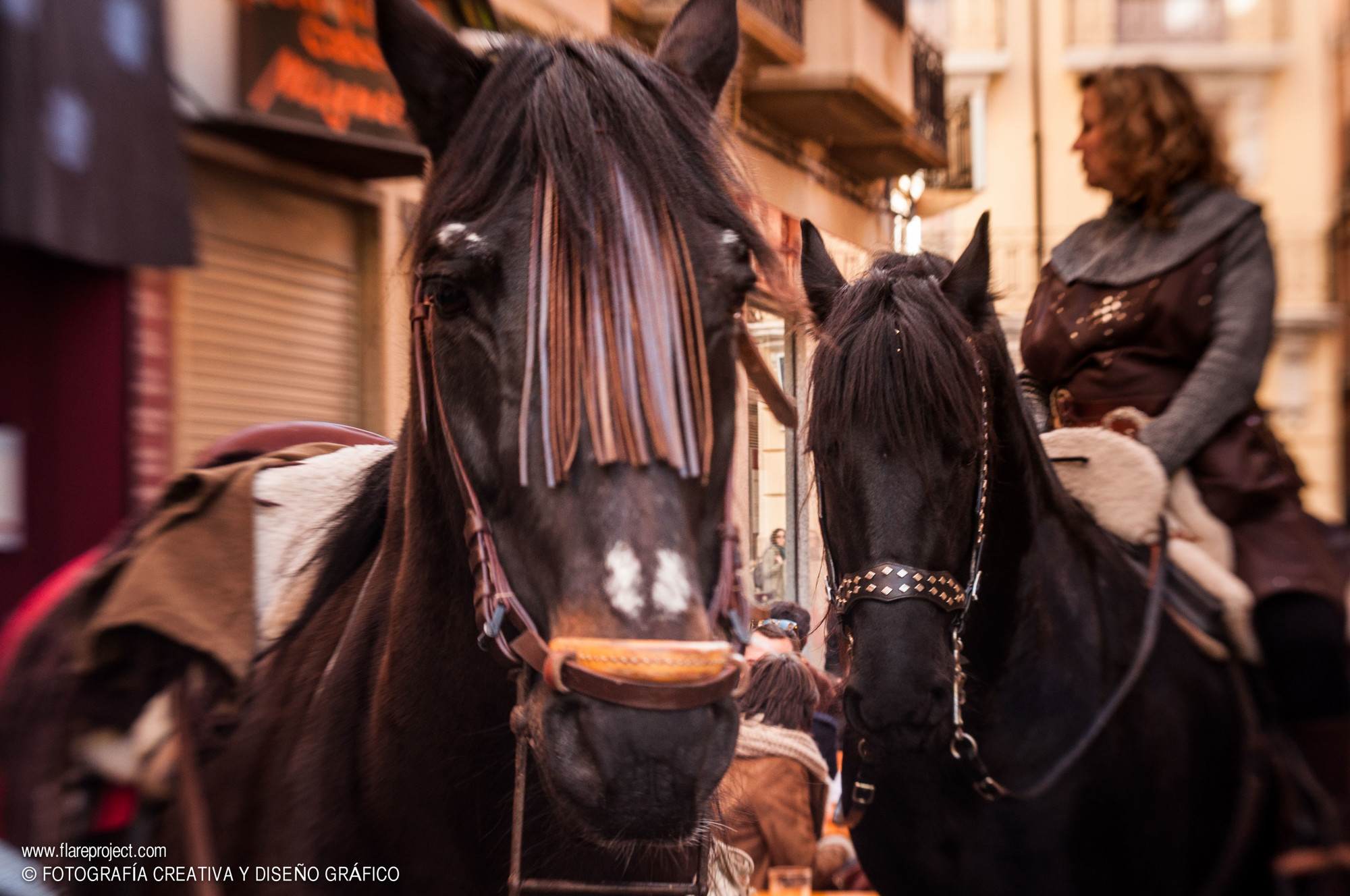 fotografos zaragoza_019