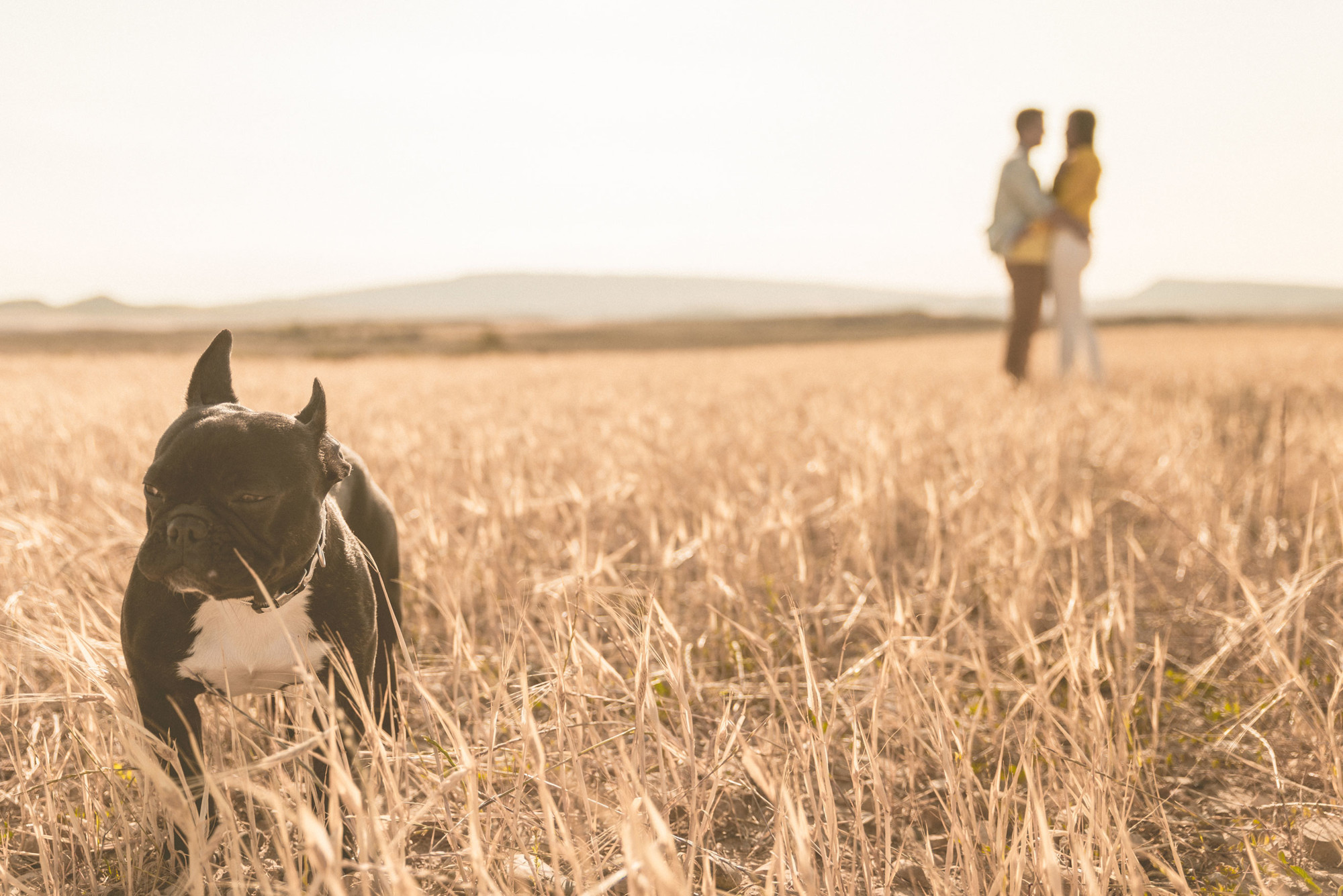 Reportaje Preboda, Fotografía de Parejas y Mascotas