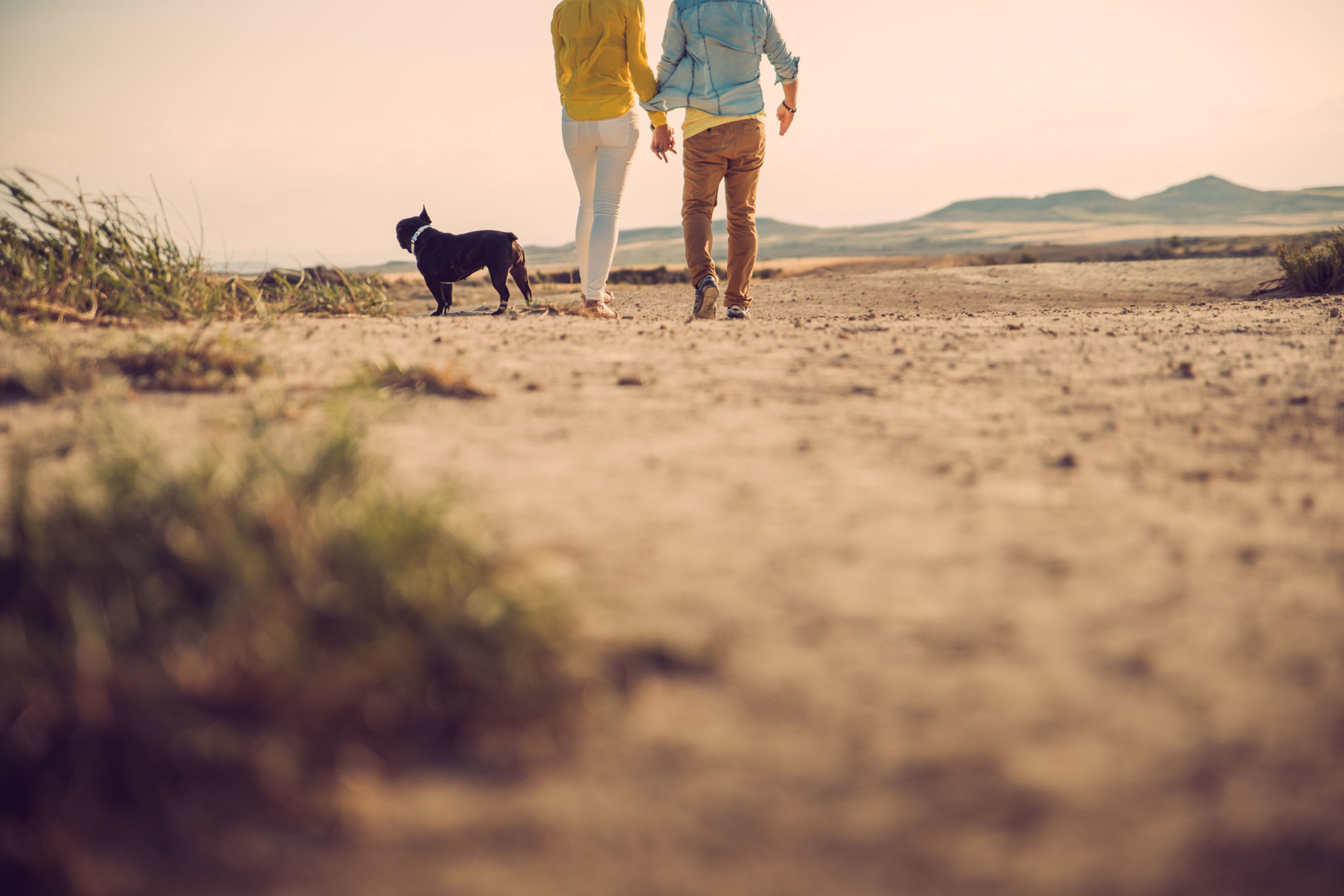 Reportaje Preboda, Fotografía de Parejas y Mascotas