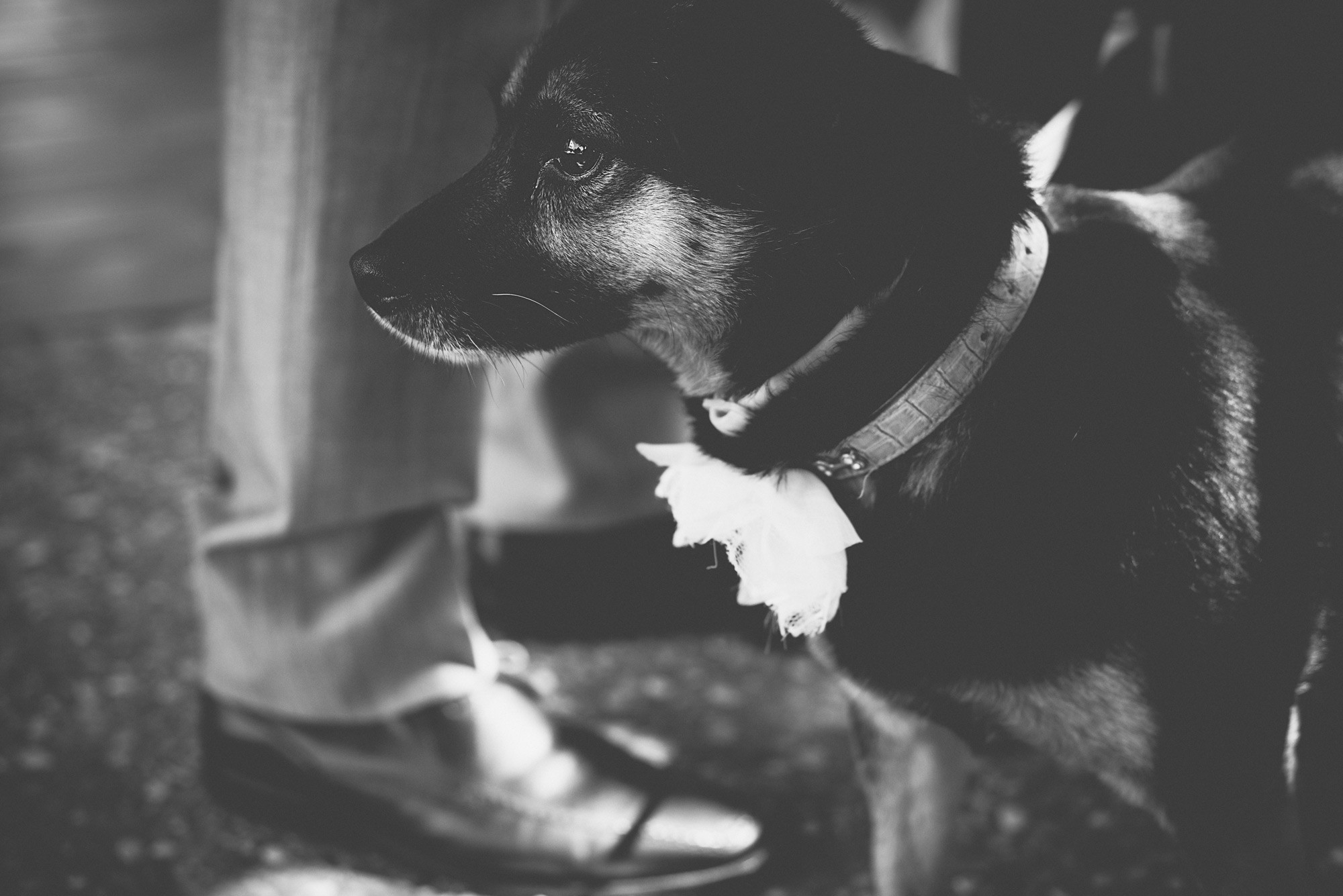 fotografos de boda, wedding photography, vintage wedding
