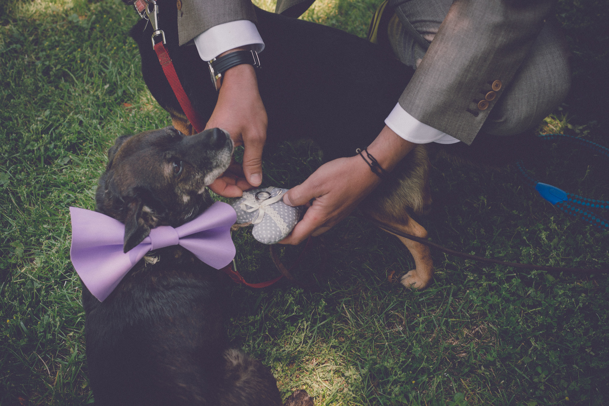 fotografos de boda, wedding photography, vintage wedding