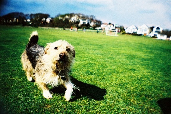 camaraslomograficas_sardinacapri_flareproject_lomographyzaragoza_11