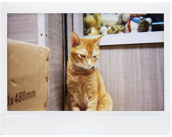 LOMO INSTANT WIDE_CAMARAS INSTANTANEAS ZARAGOZA_09