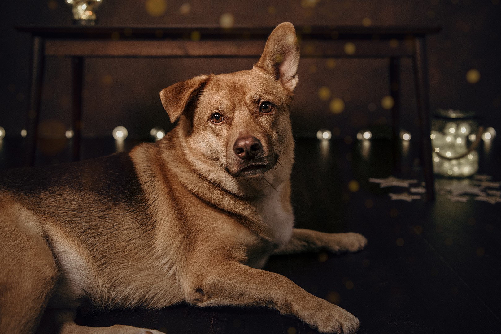 fotografia_navidad_3