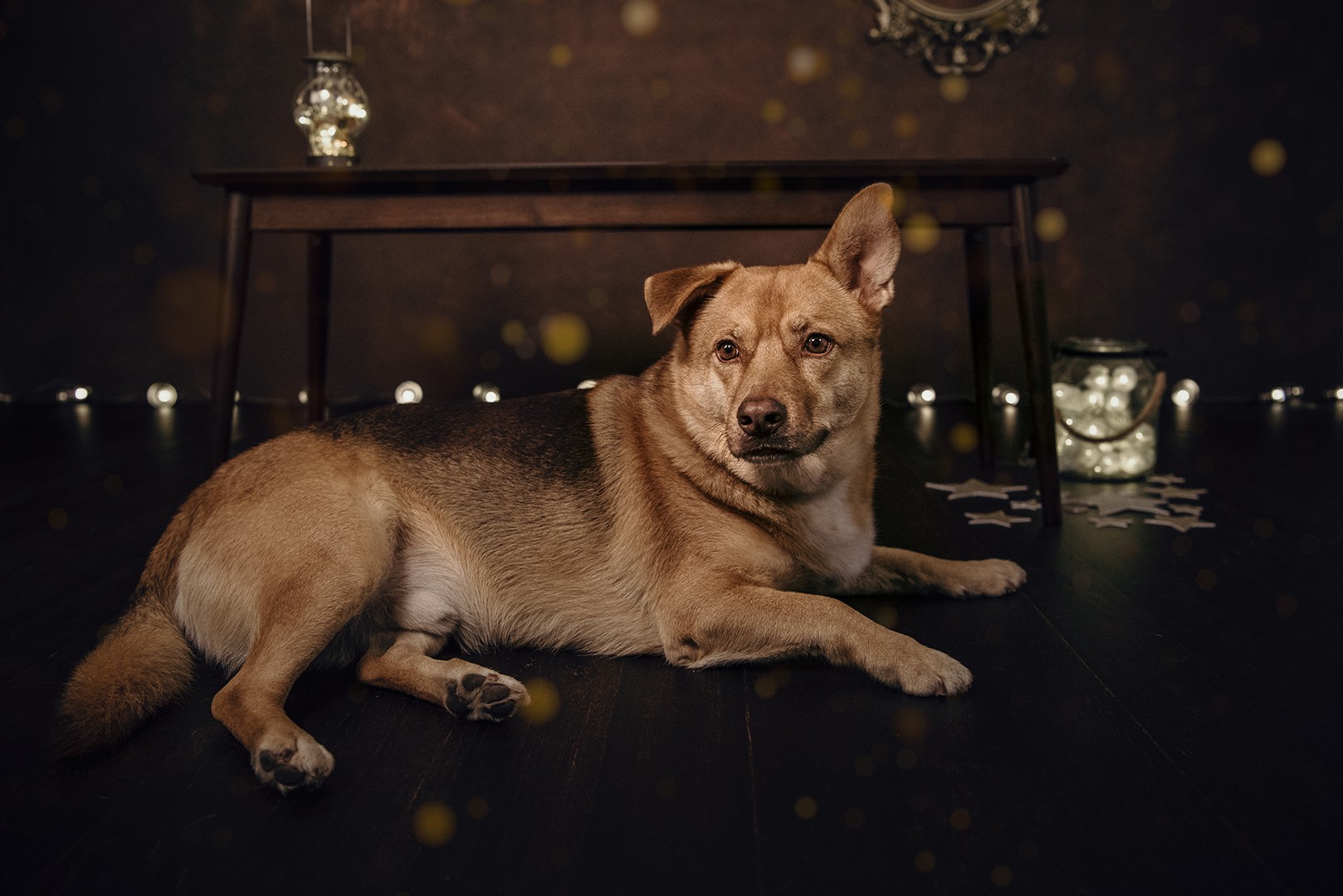 fotografia_navidad_4