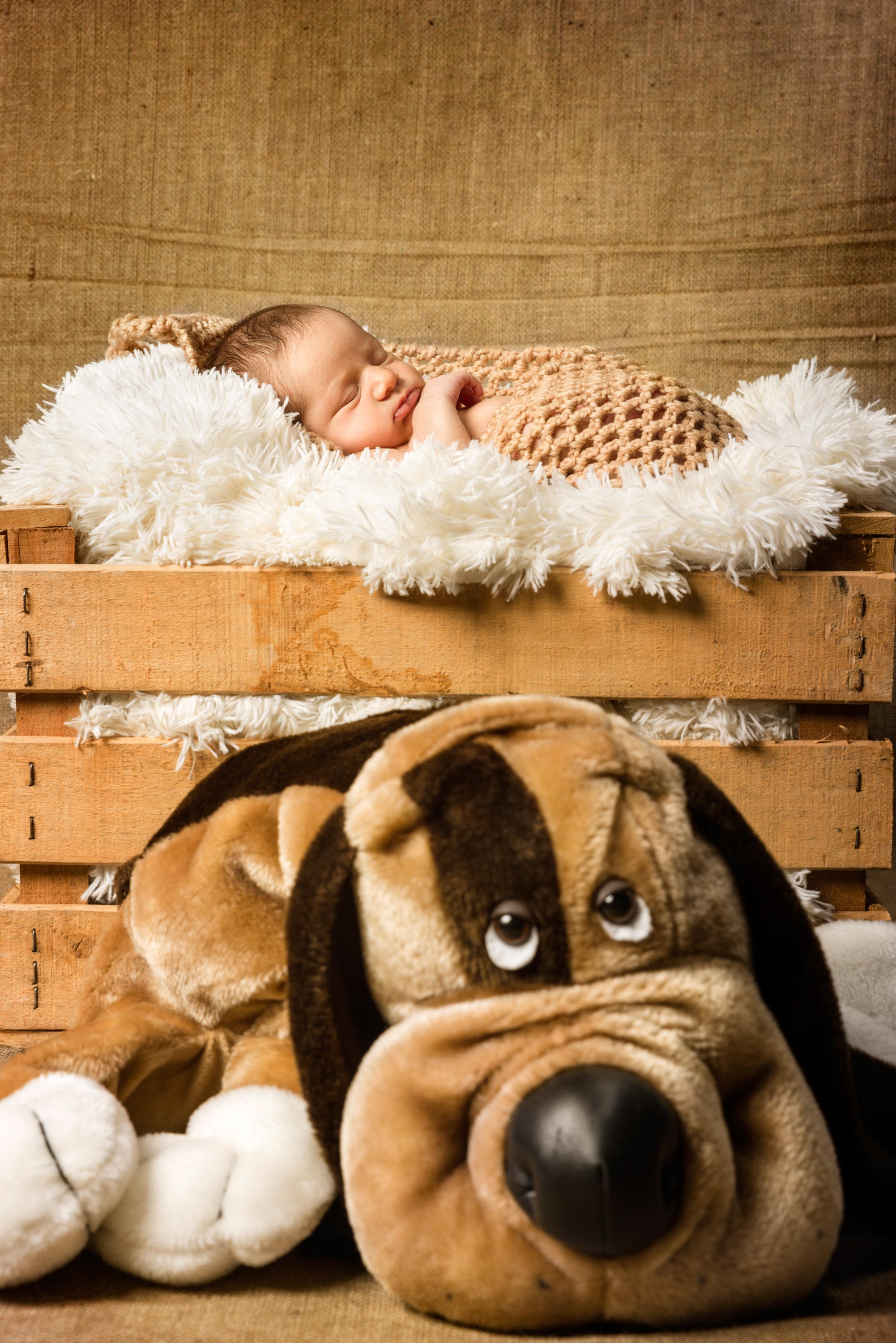 fotografia de bebes zaragoza